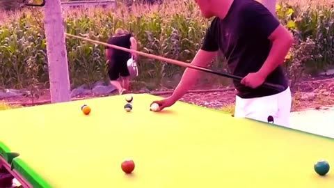 Funny Video Billiards