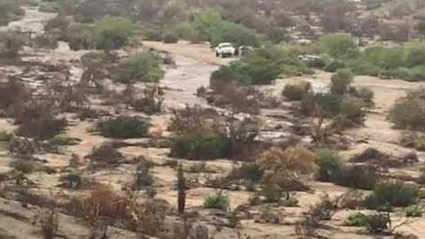 Flash Flood Forces Cars to Higher Ground