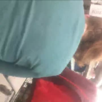 Dollar Store Thong Slip (Part 2)