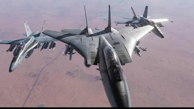 Barely Legal Speech DCS Livestream