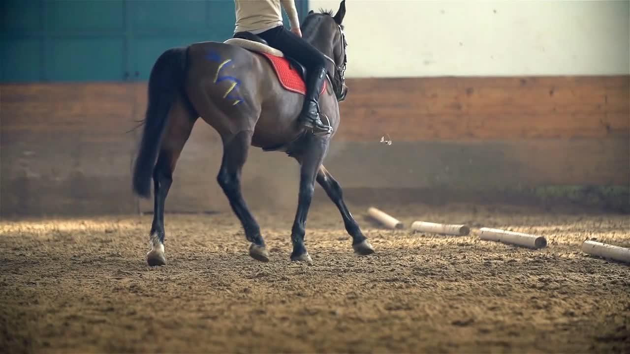 Slow Motion Riding Horse Galloping