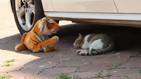 Seeing the tiger, the cat got scared fake tiger vs cat prank