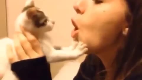 Cat bite