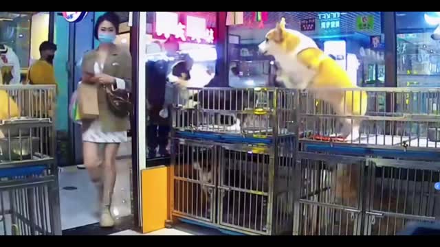 Life is full of surprises, isn't it