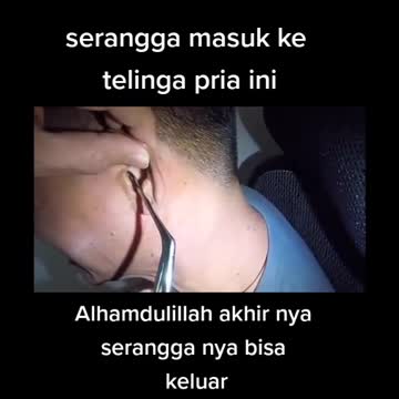 The process of removing the insects from the ear.