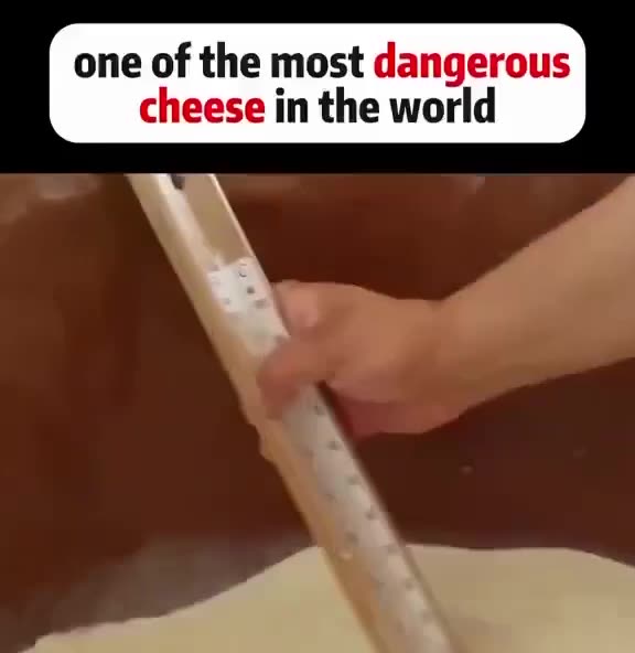 Here Is How They Make Gourmet Cheese