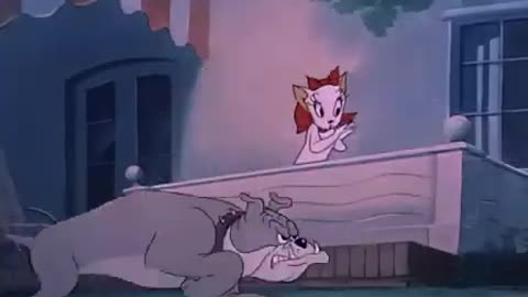 Tom and Jerry - Smarty Cat