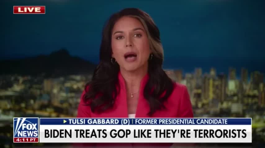 Tulsi Gabbard Unloads on Dems for Trying to Foment 'Civil War' Before Midterms