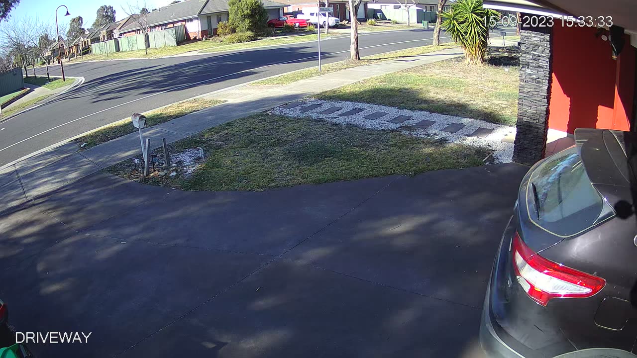 Cat Casually Chills On Car Roof