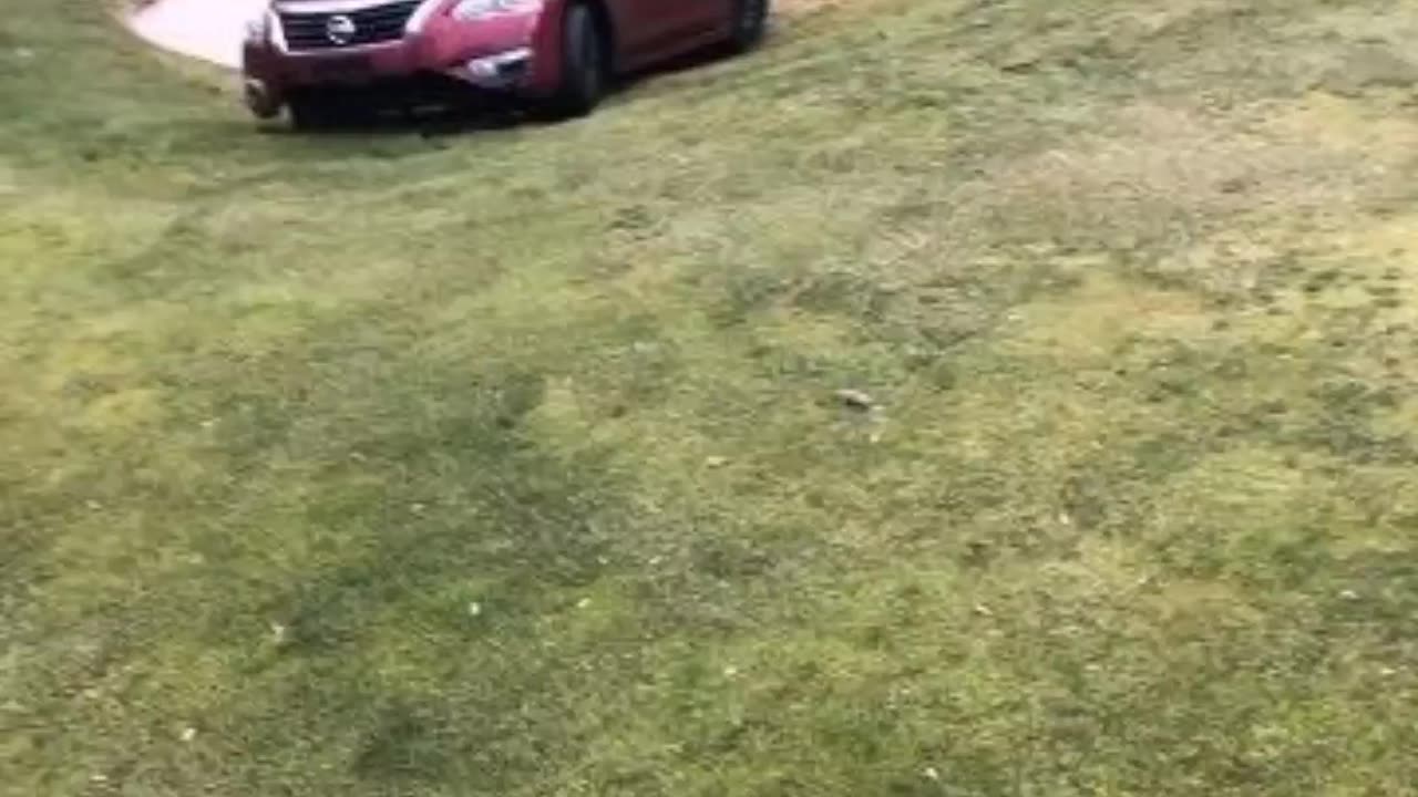 Car gone rogue on Golf Course