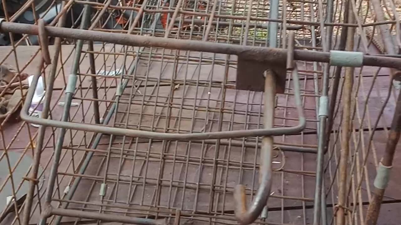 Big Racoon Breaking Out of Trap