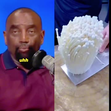 Awesome Jesse Lee Peterson Moments pt3