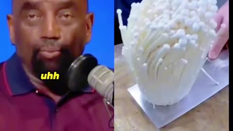 Awesome Jesse Lee Peterson Moments pt3