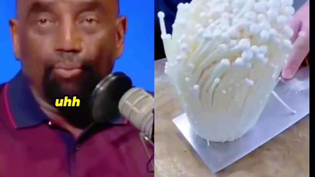 Awesome Jesse Lee Peterson Moments pt3