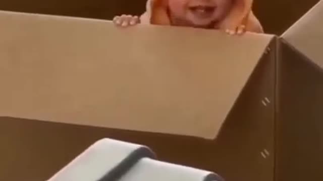 Adorable babies face off in Zalgirio Arena crawling race