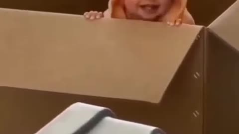 Adorable babies face off in Zalgirio Arena crawling race