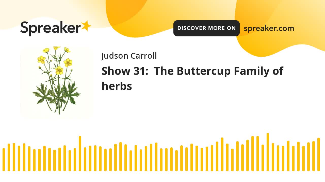 Show 31: The Buttercup Family of herbs (part 2 of 3)