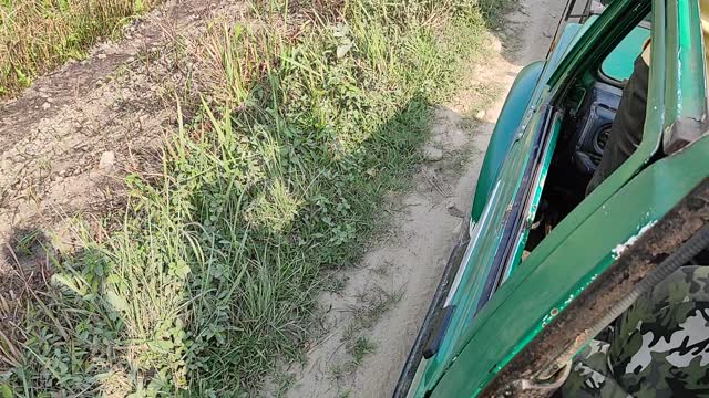 Elephant block the kaziranga national park road