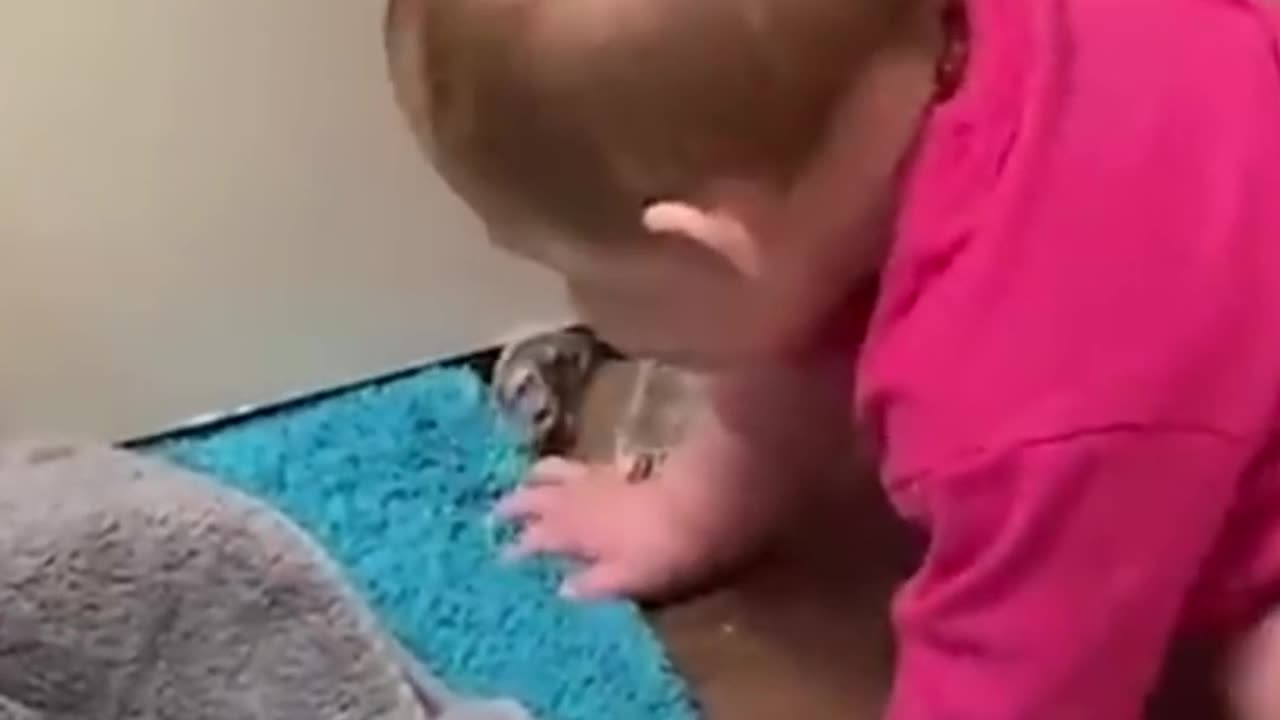 Get it, Charlie! No, no, no!