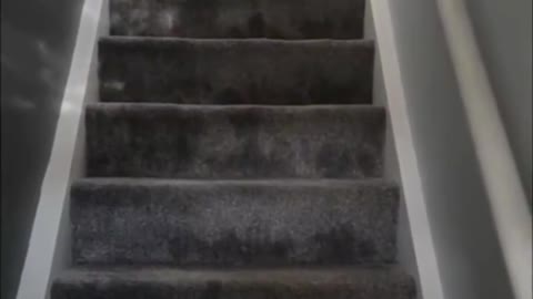 I'm too tired and sleepy to go down the stairs