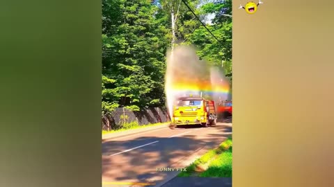 Funny videos