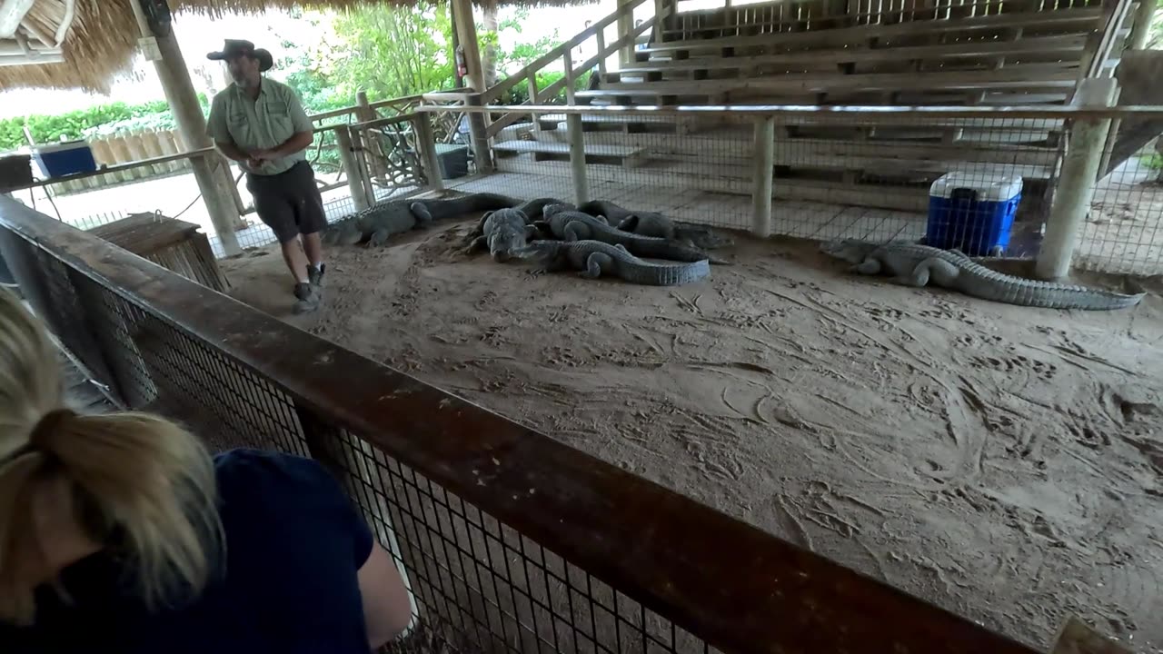 Animal Presentation at Florida Everglades