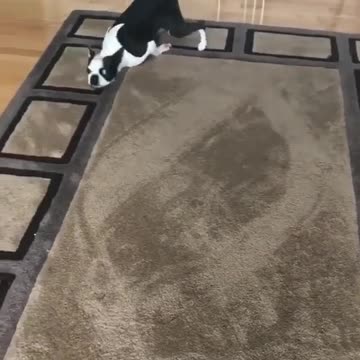 Any idea what’s going on here?