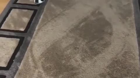 Any idea what’s going on here?