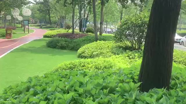 Looking at these green plants makes me feel very beautiful