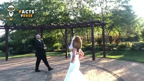 Viral Video Compilations of 2021