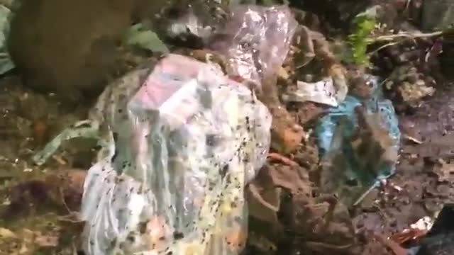 Unos débiles quejidos dentro del camión de la basura dieron la voz de alarma a unos héroes