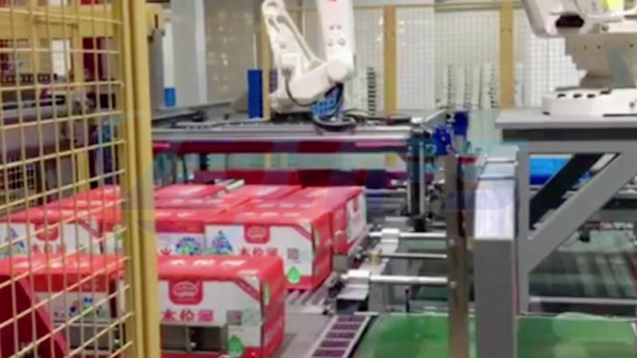 Robot carton packer with roller type gripper #packer#casepacker#robot#foryou#machine