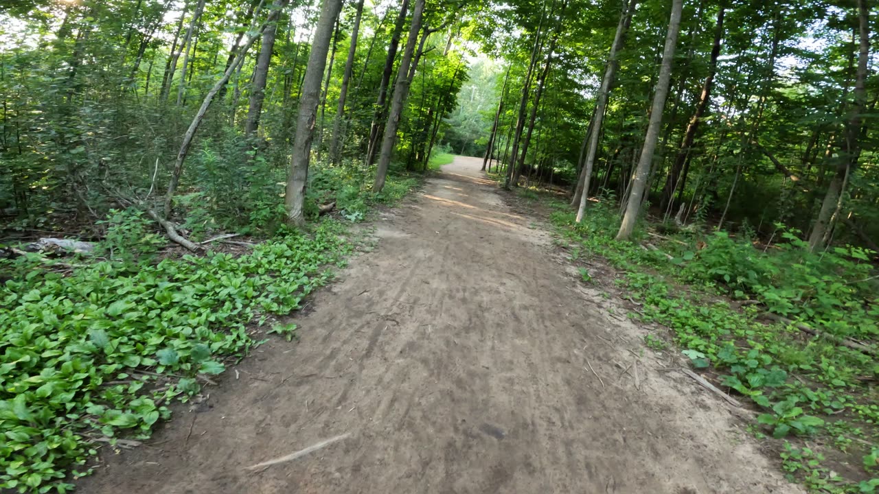 🫛 Welcome To Conroy Pit Trails Part 3 ☀️ Summer Edition In Ottawa 🍁 Canada 🌻