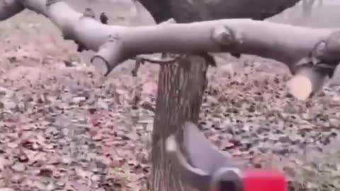 electric pruner