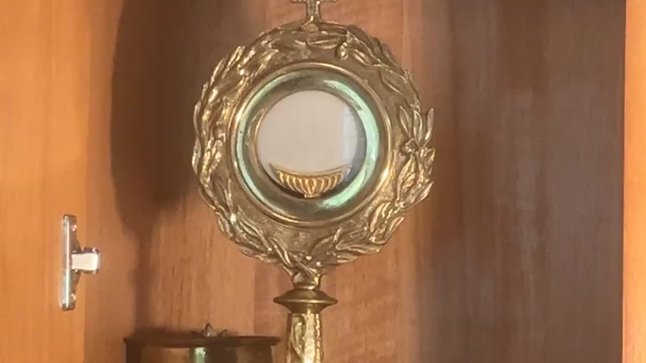 Mass for the Church; adoration; homily on sacrificial mercy