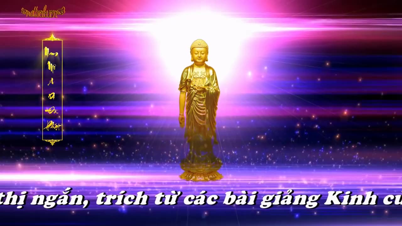 KHAI THỊ SỐ 24 - XUẤT GIA.