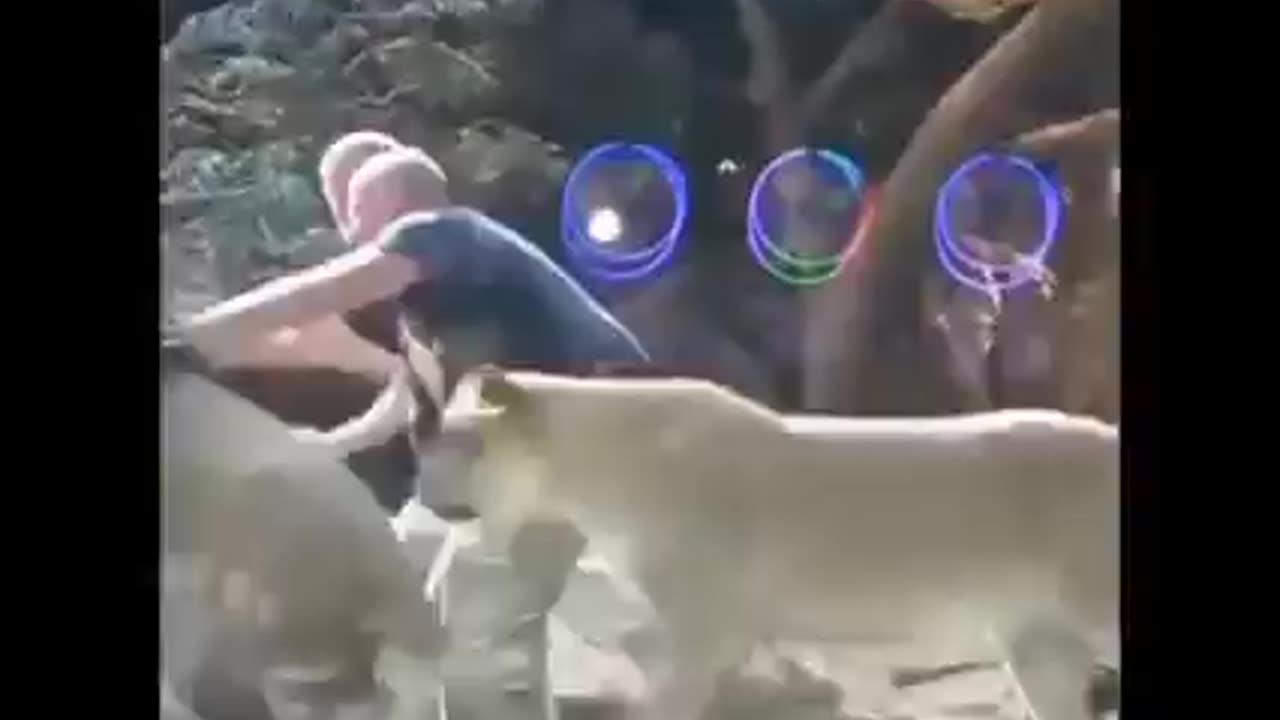 Wild Animals Attacked Human