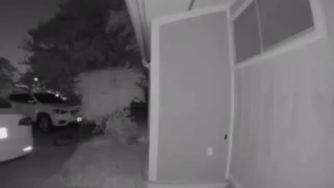 USA, TEXAS 2020, catturato dalla CCTV