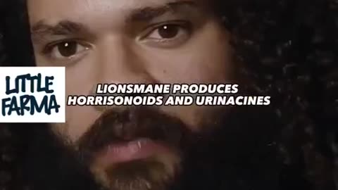 The benefits are unreal! We highly recommend using Lion’s Mane