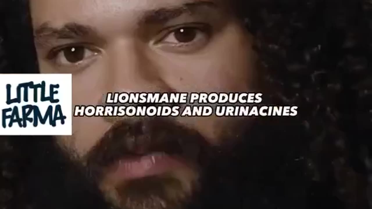 The benefits are unreal! We highly recommend using Lion’s Mane