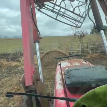 So starts another cattle feeding season!