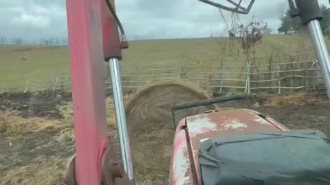 So starts another cattle feeding season!