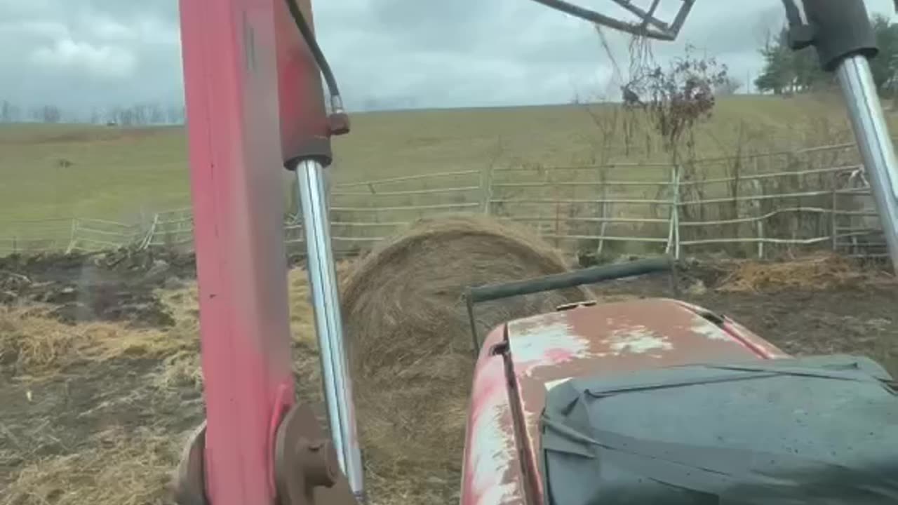 So starts another cattle feeding season!