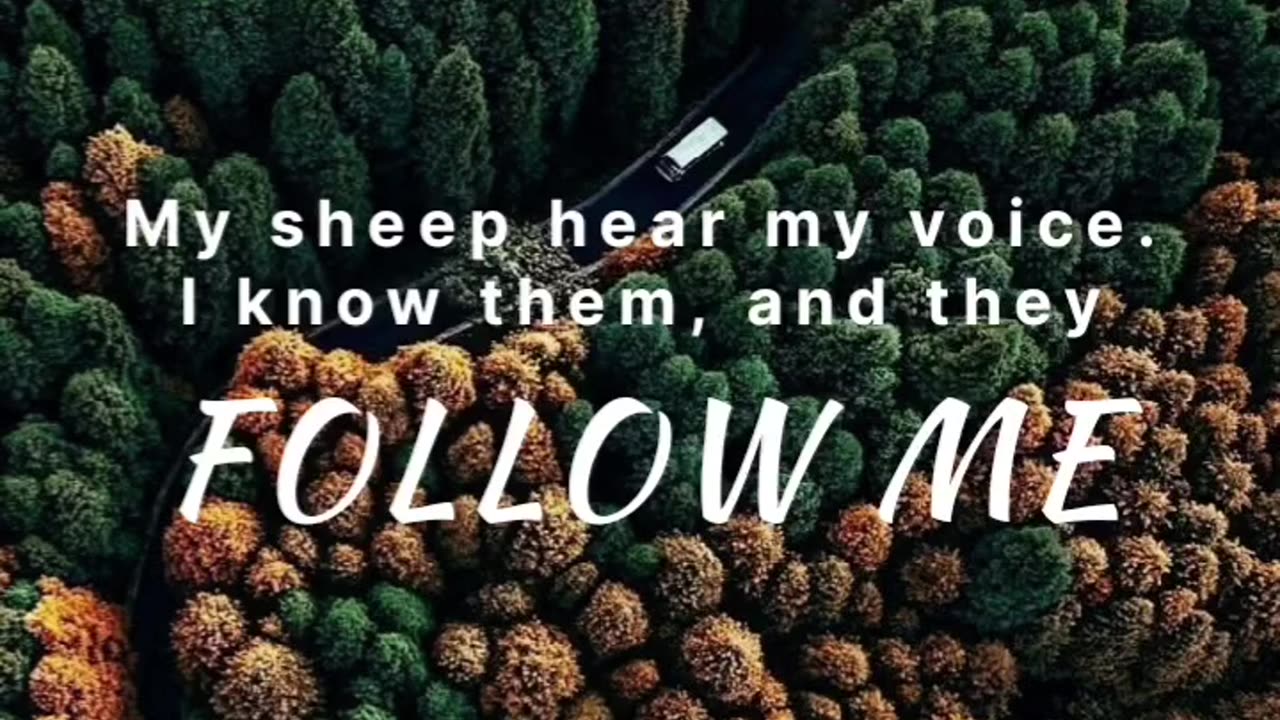 Follow Jesus