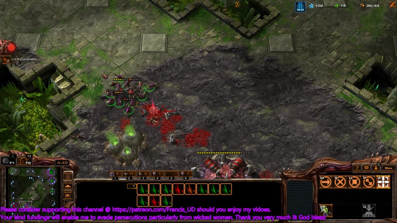 starcraft2 zvp on dragon scales miserably defeated & zvz on ancient cistern defeated in late game