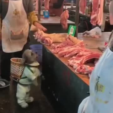 Let’s go shopping 😎