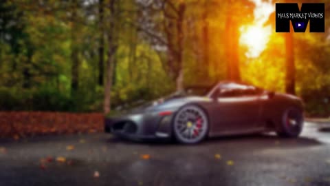 Looking For An Automobile? Mals Market Videos