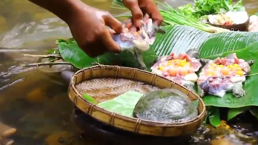 Turtle Dish