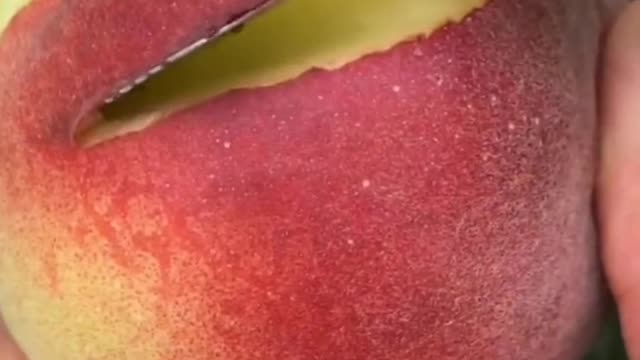 Fruits Video Farm Fresh Ninja Fruit Cutting Satisfying Fruit | Amazing Fruits Video #fruits #short