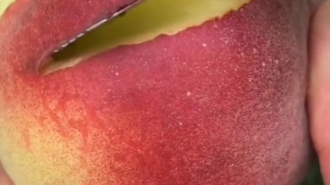 Fruits Video Farm Fresh Ninja Fruit Cutting Satisfying Fruit | Amazing Fruits Video #fruits #short